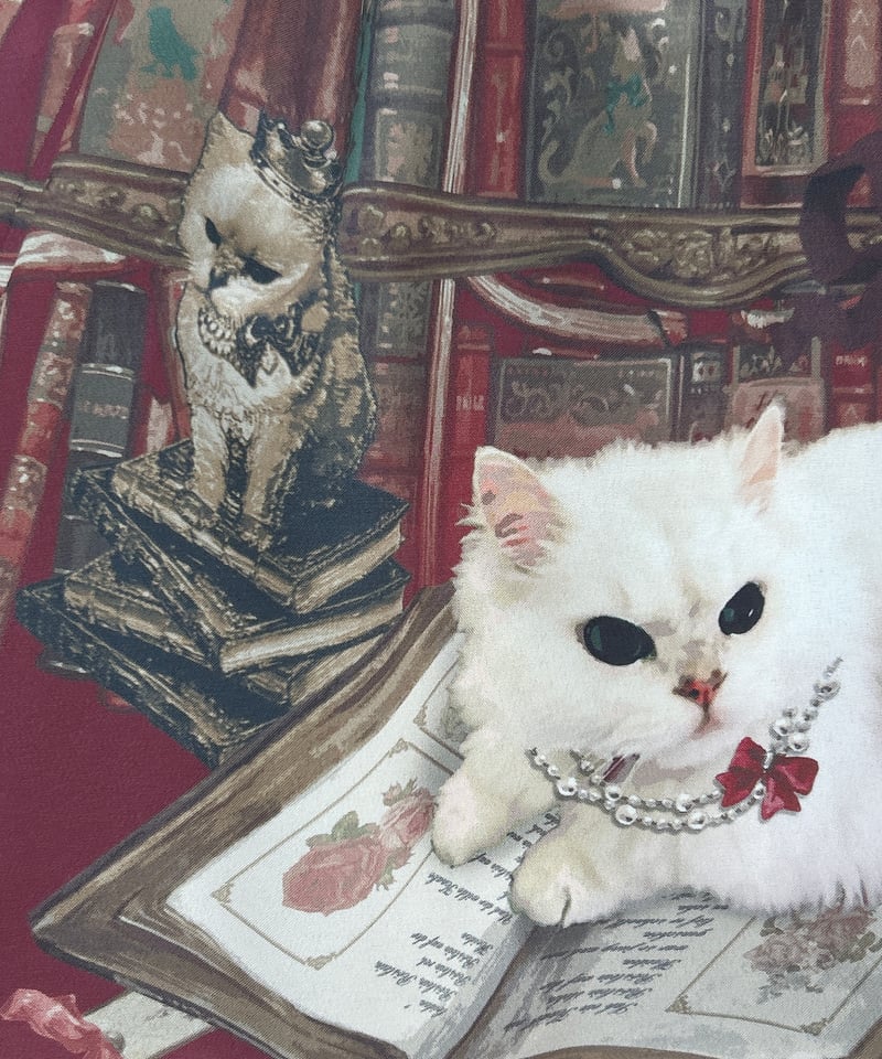 Enchantlic Enchantilly／Queen Cat〜秘密の書斎〜スカート（エンジ