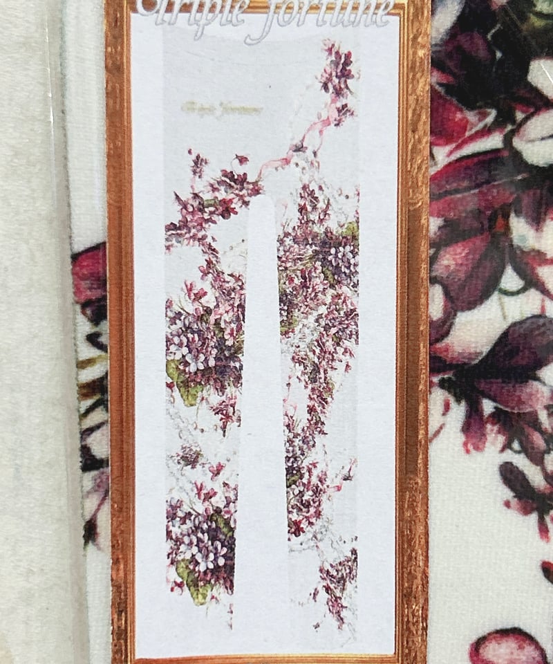 Triple* fortune ／すみれタイツ | chou chou ange online