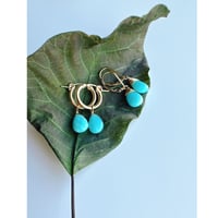 Amazonite   French Hook  Earrings