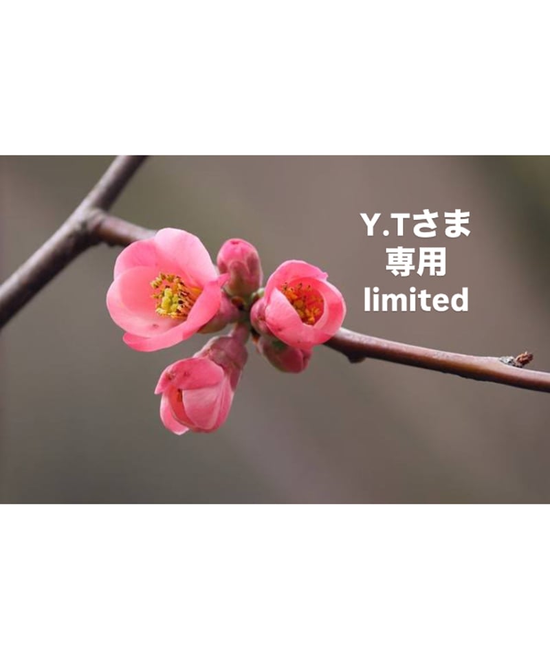 Y.T様専用 yu*様専用 yu☺︎さま専用 yu☺︎さま専用