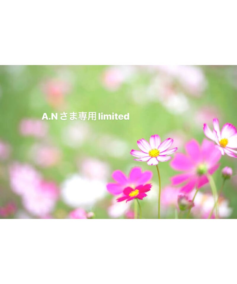 A.Nさま専用ページ | BlueOnionStore
