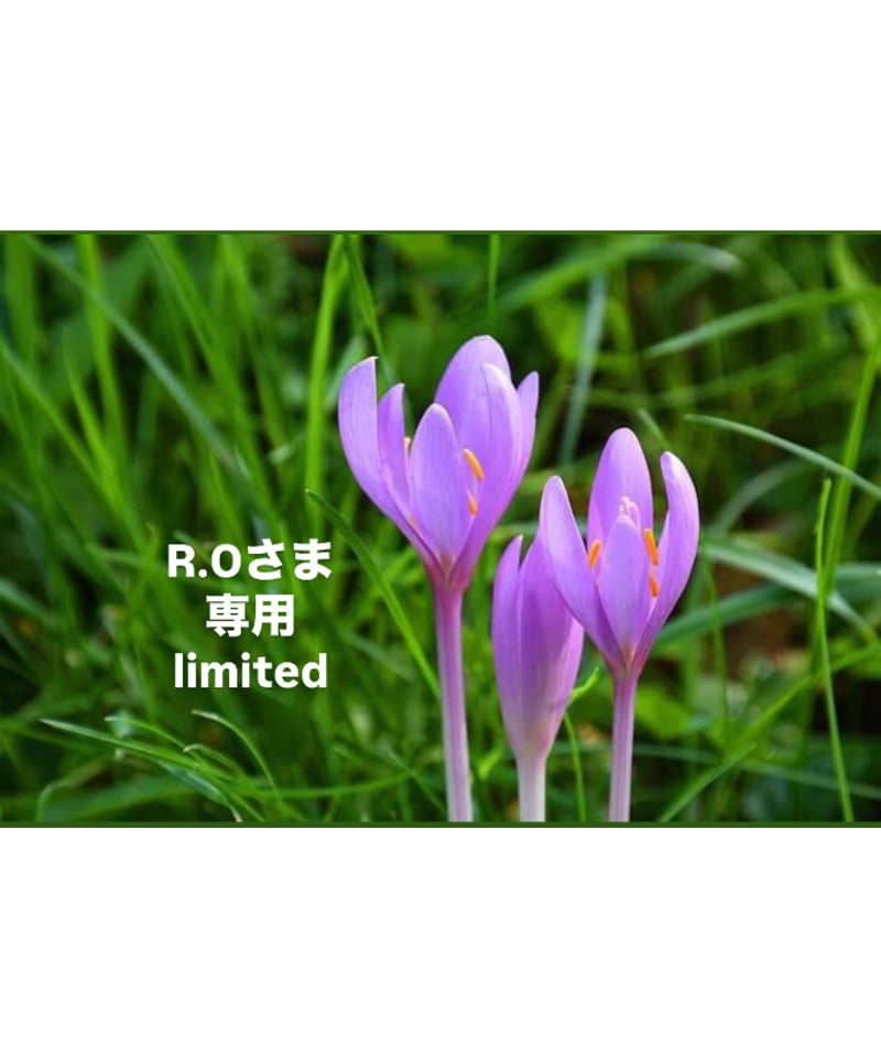 ハナ様 専用 【公式通販】