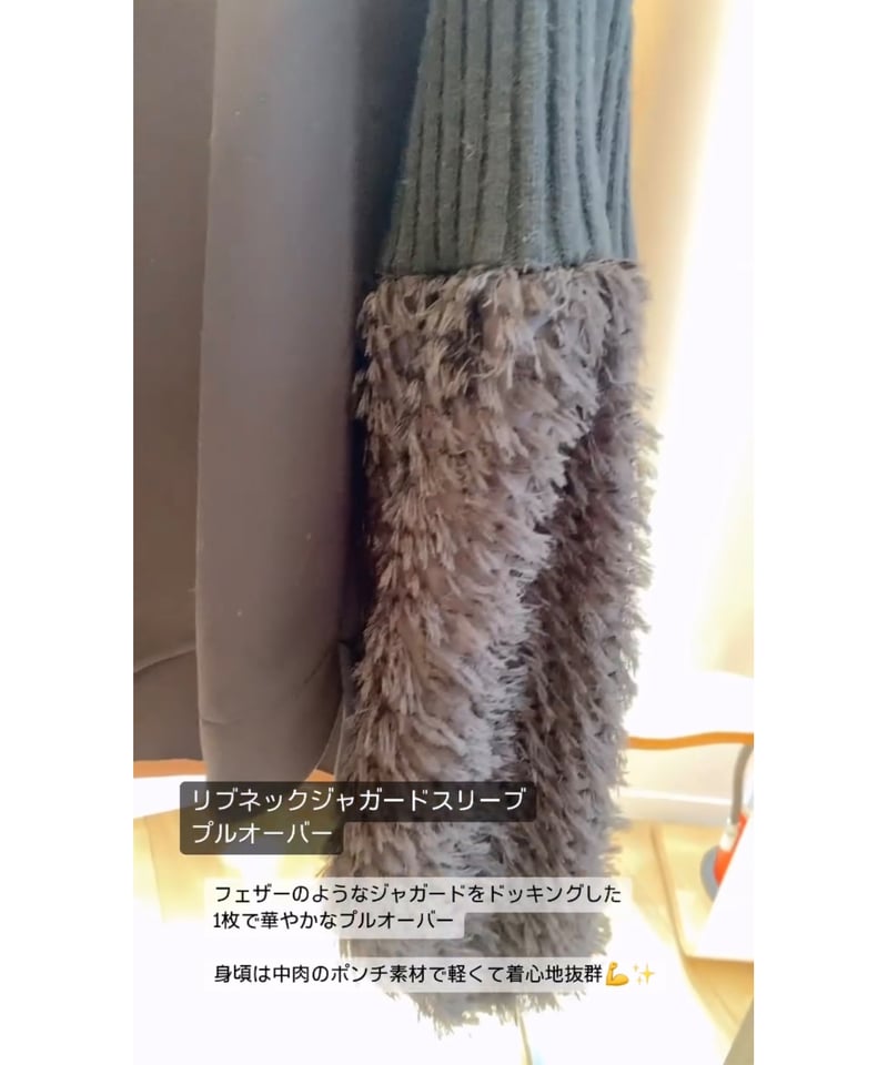 Lallia Mù ラリア・ムー 24秋冬ご予約】 リブネックジャガード