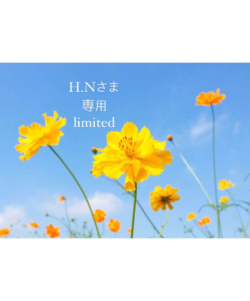 HN様 専用ページ (H.Nさま専用ページ | BlueOnionStore) HN様 専用ページ (H.Nさま専用ページ | BlueOnionStore)