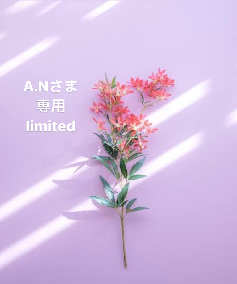 A.Nさま専用ページ | BlueOnionStore