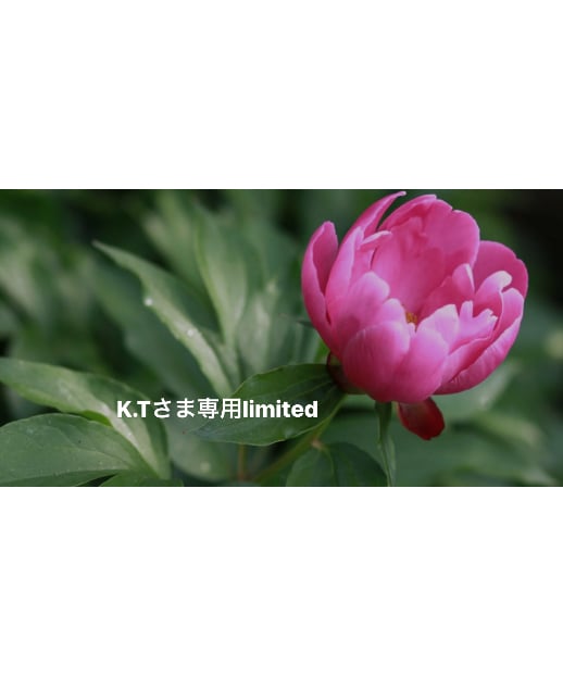 K.Tさま専用ページ | BlueOnionStore