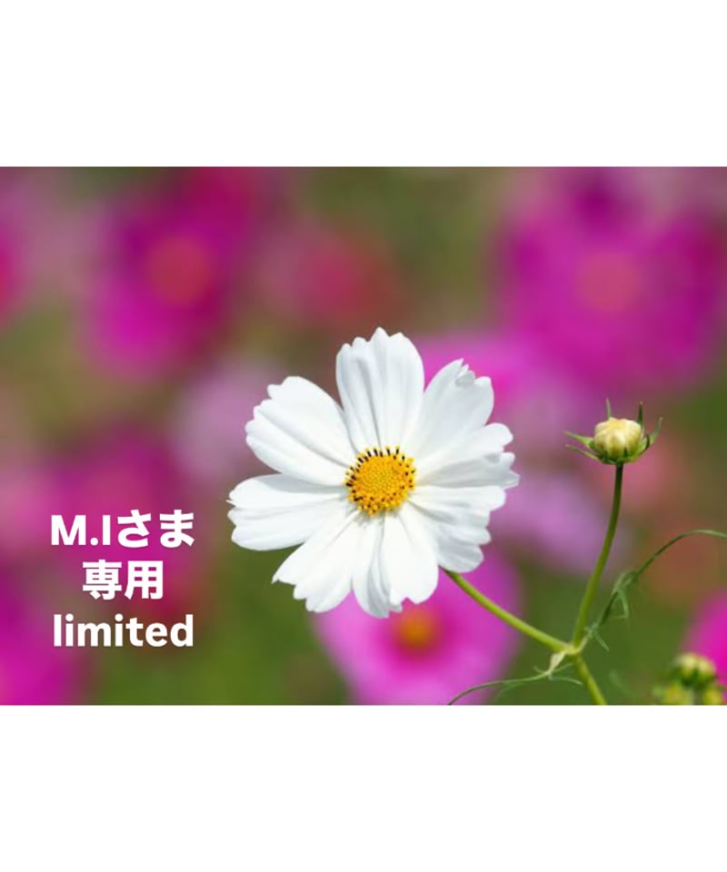 M.Iさま専用ページ | BlueOnionStore 