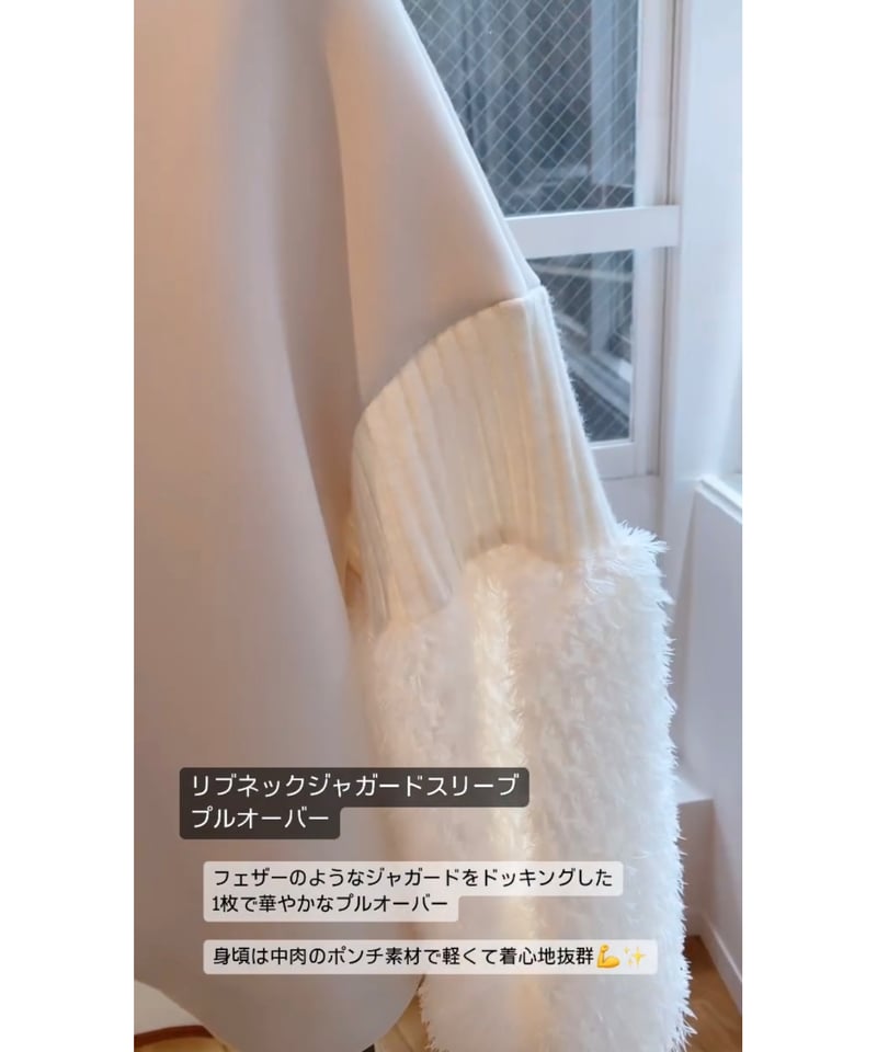 Laria Muライアムージャガードスリーブワンピース