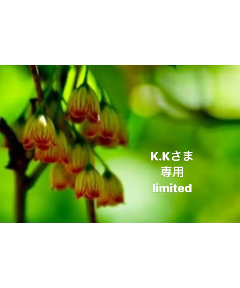 K.Kさま専用ページ | BlueOnionStore