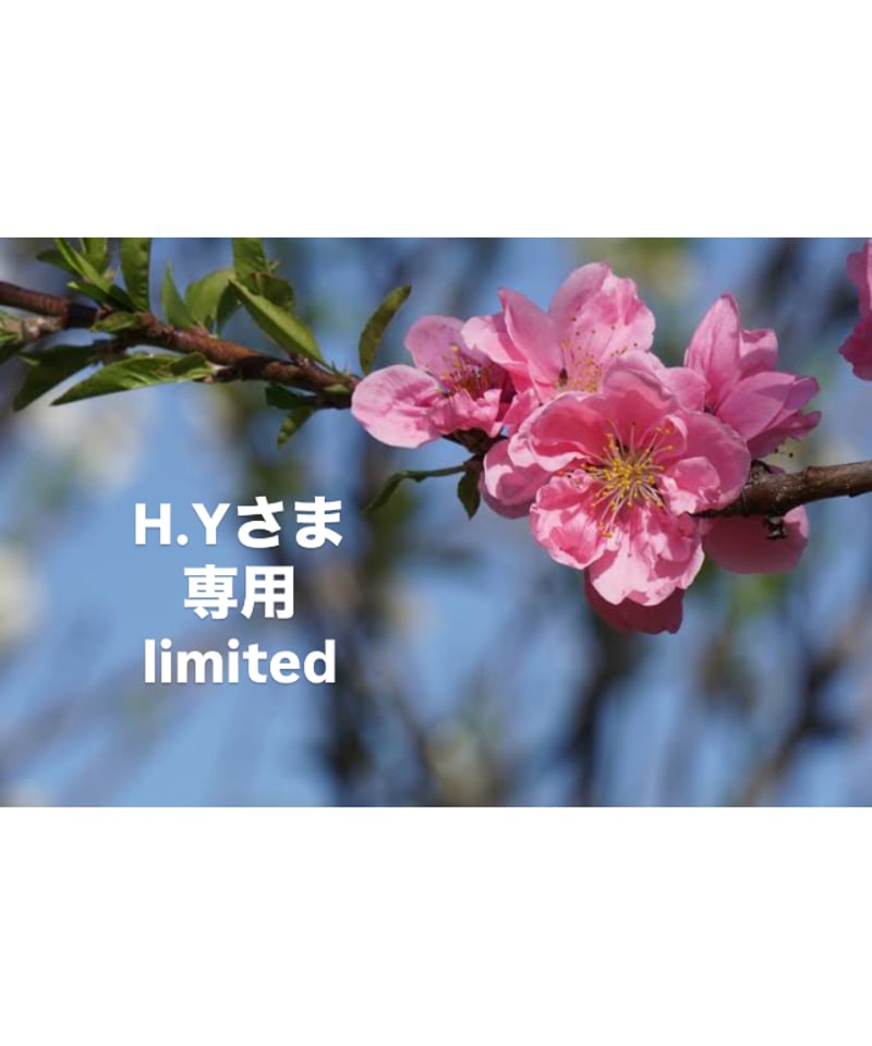 y u a n様専用