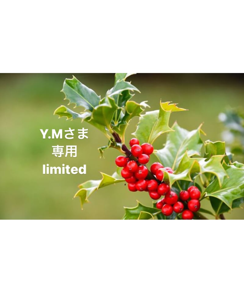 Y.Mさま専用ページ | BlueOnionStore