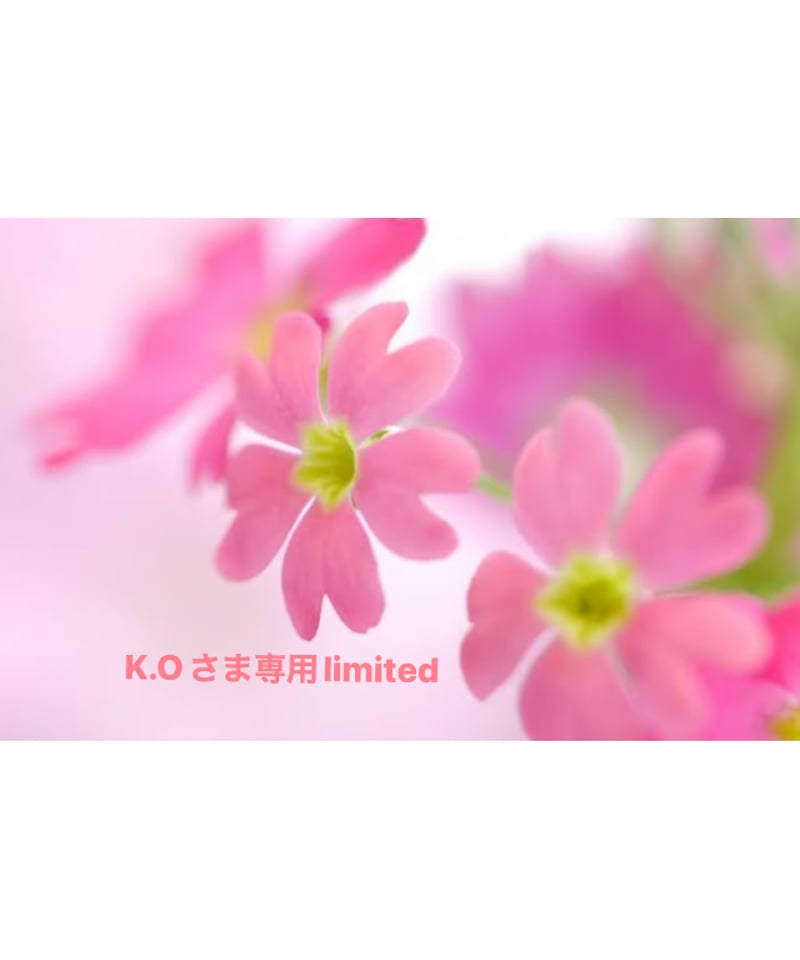 K.Oさま専用ページ | BlueOnionStore