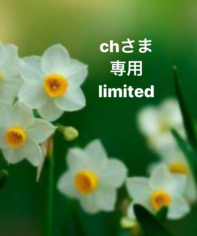 Chさま専用ページ | BlueOnionStore