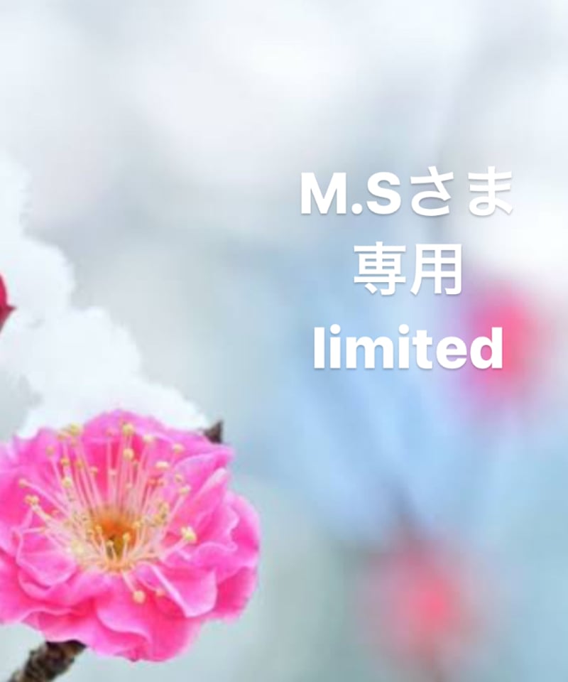 M.Sさま専用ページ | BlueOnionStore