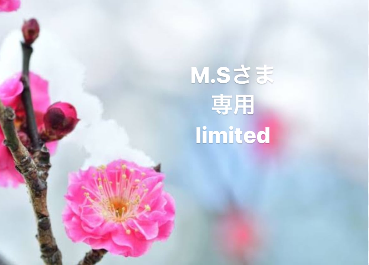 MS &MY@様専用！