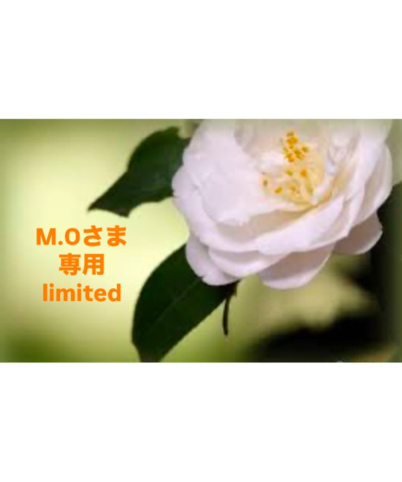 M.Oさま専用ページ | BlueOnionStore