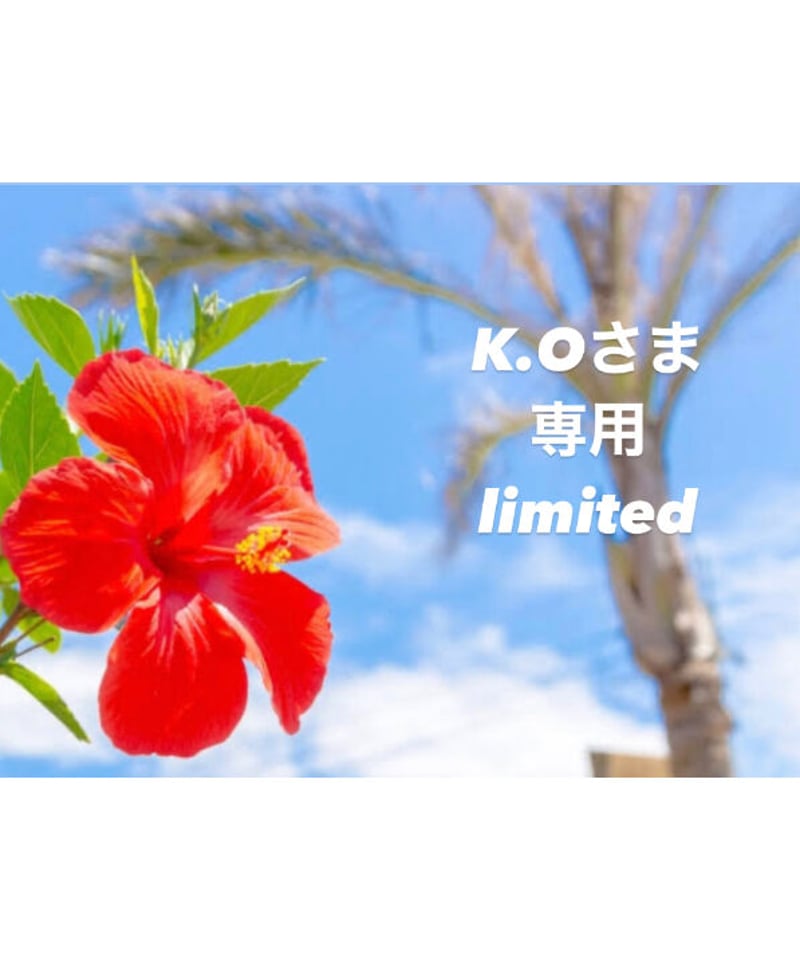 K.Oさま専用ページ | BlueOnionStore