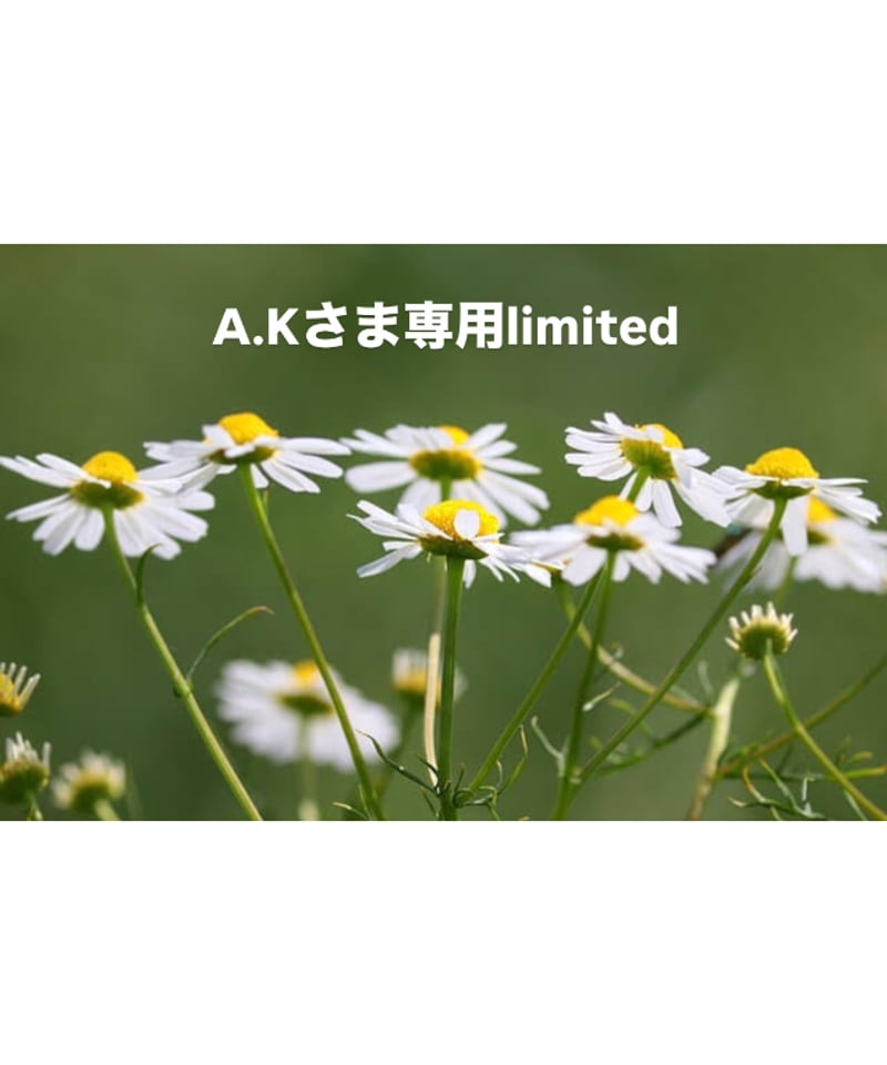 A.Kさま専用ページ | BlueOnionStore A.Kさま専用ページ | BlueOnionStore
