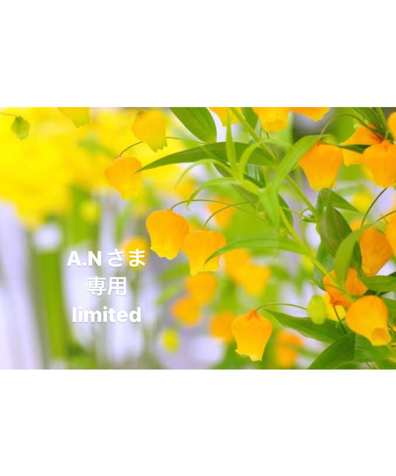 A.Nさま専用ページ | BlueOnionStore
