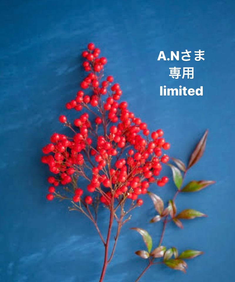 A.Nさま専用ページ | BlueOnionStore