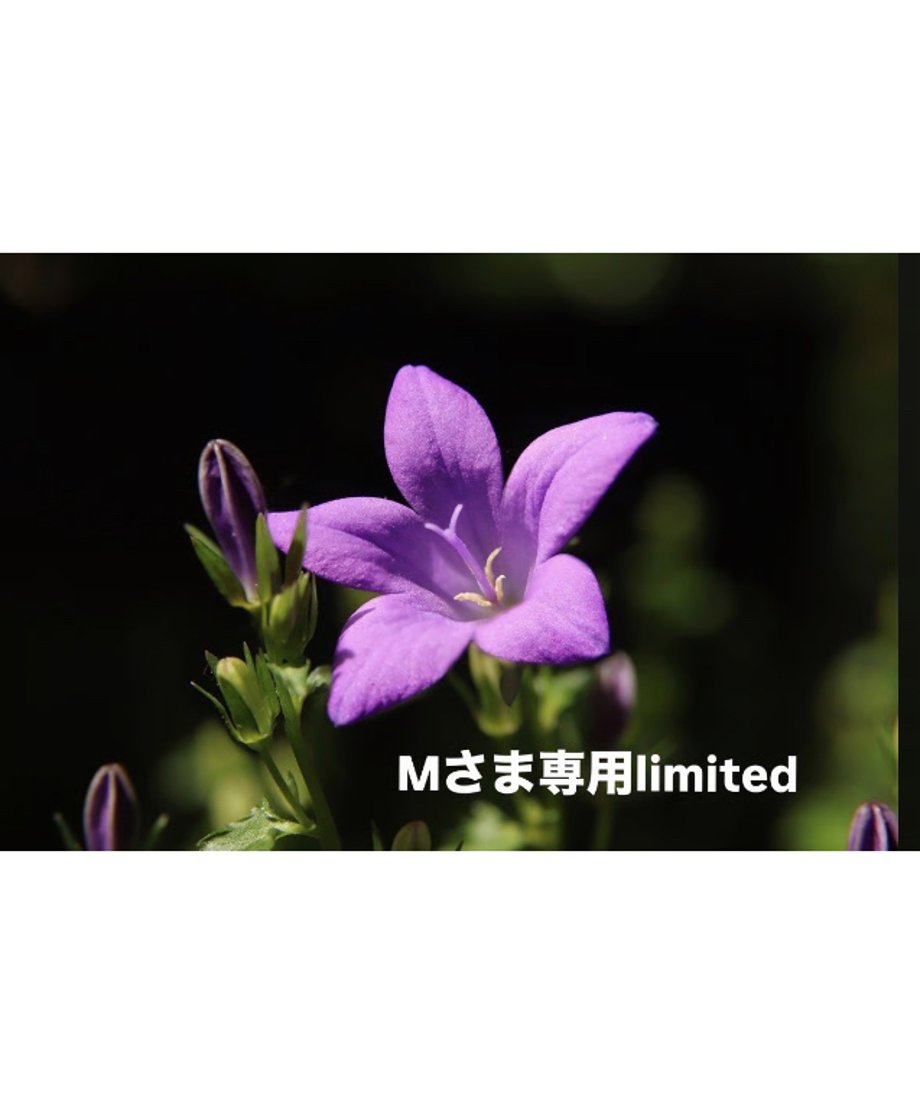 69fd611d13edcc15ea98b93d