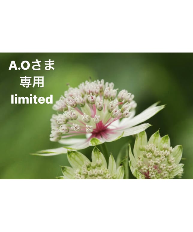 A.Oさま専用ページ | BlueOnionStore