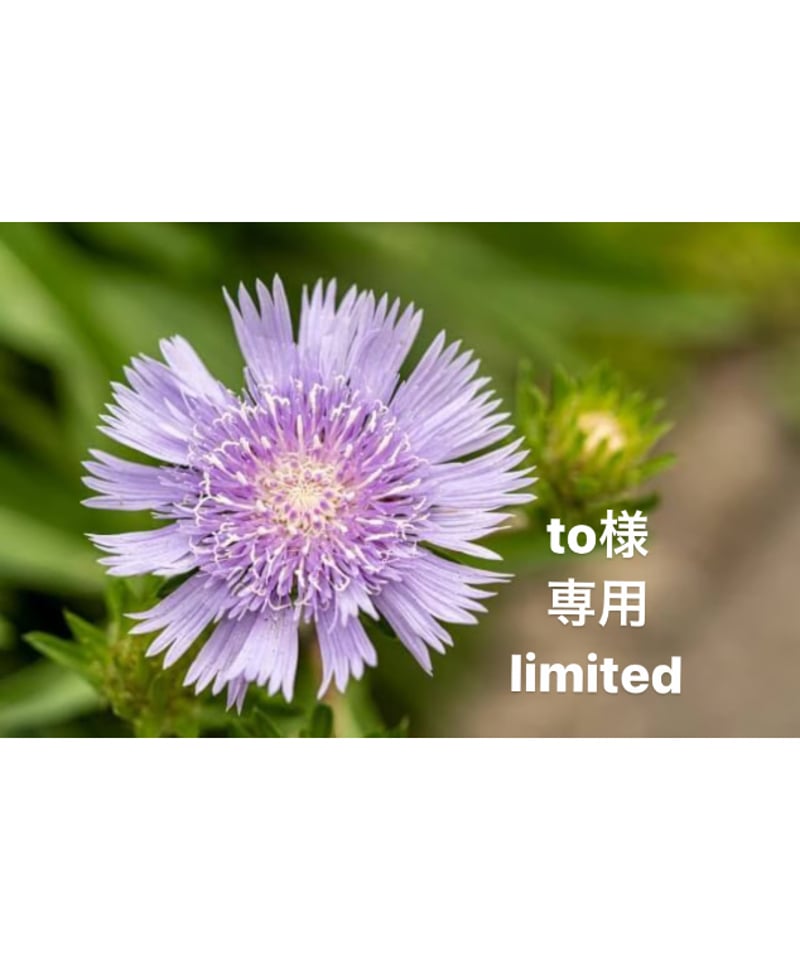 to様専用ページ | BlueOnionStore 