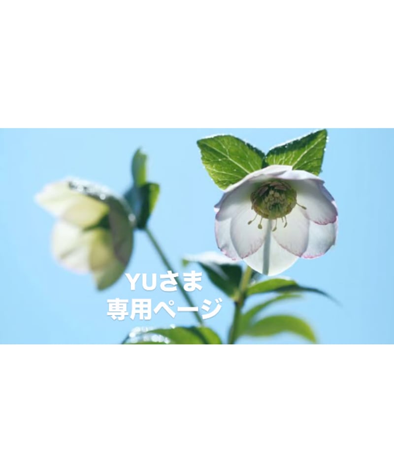 Yuさん専用ページです。 YU様専用です❗️❗️❗️ yuさん専用 yu
