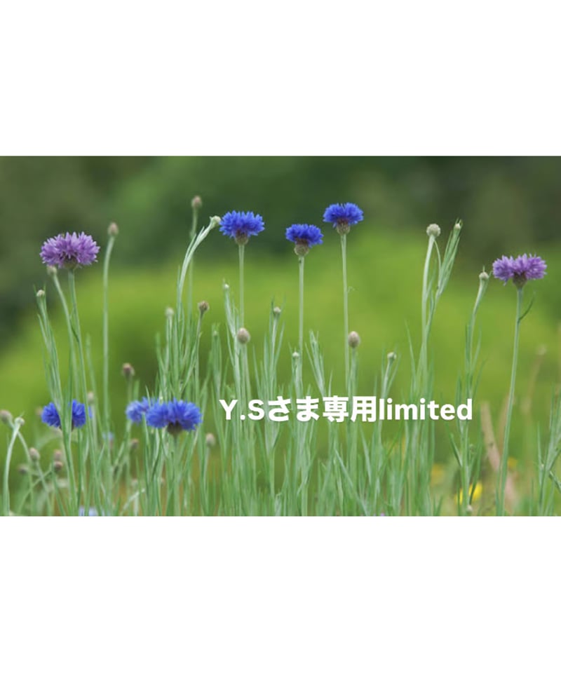 Y.Sさま専用ページ | BlueOnionStore Y.Sさま専用ページ | BlueOnionStore