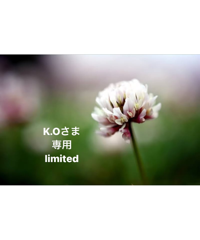 K.Oさま専用ページ | BlueOnionStore