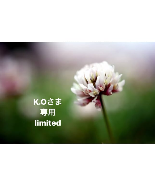 K.Oさま専用ページ | BlueOnionStore 