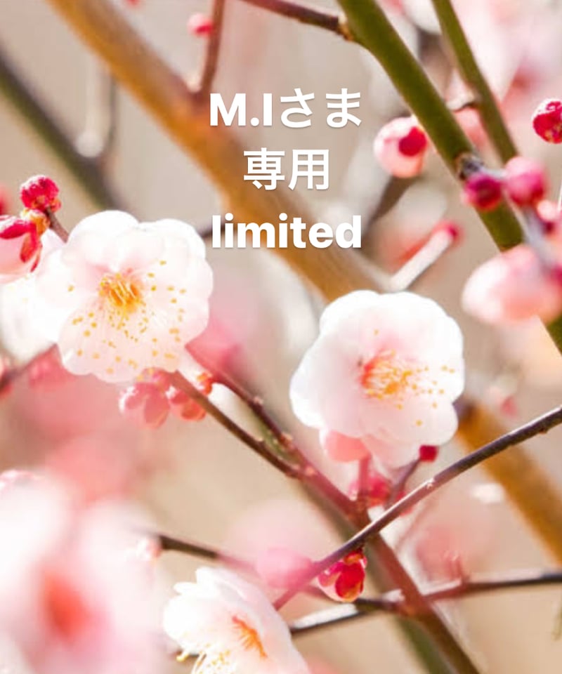 miさま 専用 (♥️MI様 専用♥️ | ♥️embellir♥️) miさま 専用 (♥️MI様 専用♥️ | ♥️embellir♥️)