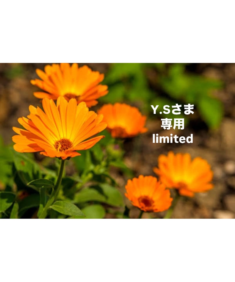 Y.Sさま専用ページ | BlueOnionStore