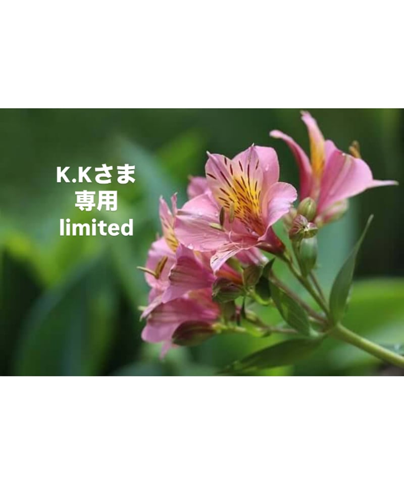 K.Kさま専用ページ | BlueOnionStore