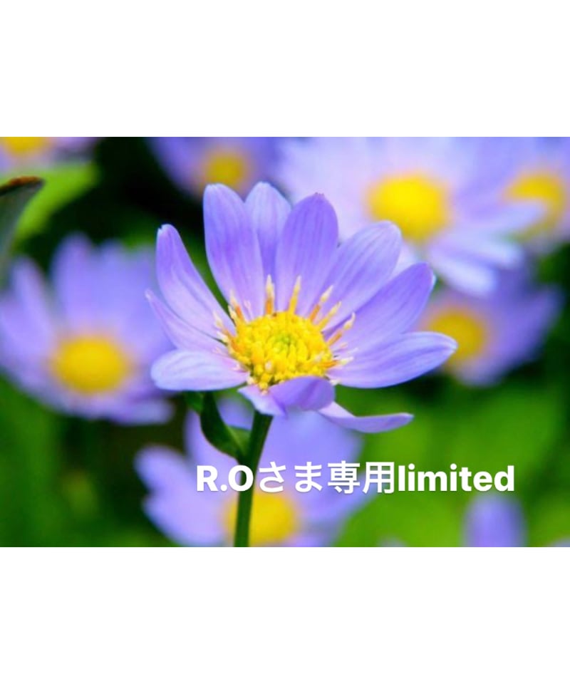 R.Oさま専用ページ | BlueOnionStore 