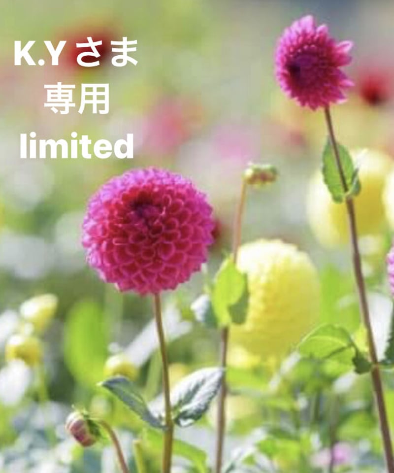 K.Yさま専用ページ 09K | BlueOnionStore