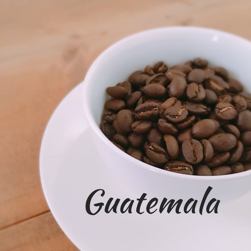 【新品】コーヒー豆（グアテマラ） グアテマラ（シングルオリジン） コーヒー豆 100g | NORTHERN EIGHT