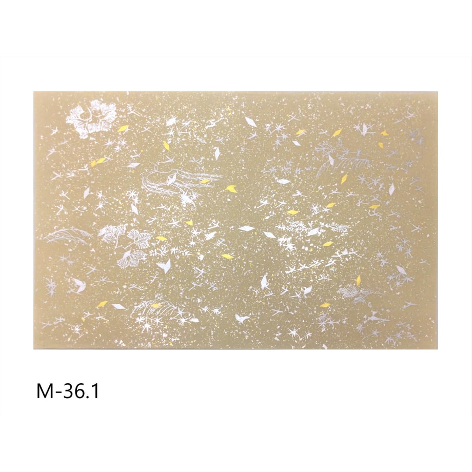 640580239a02850001b36ffb