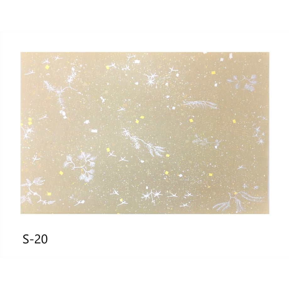 640580239a02850001b36ff1