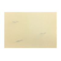 【難アリ】清書用 小島切 1枚売り