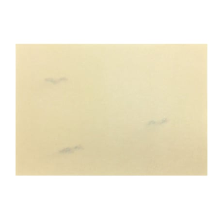【難アリ】清書用 小島切 1枚売り