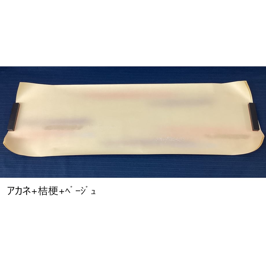 6a1934da6b59290042cce19a