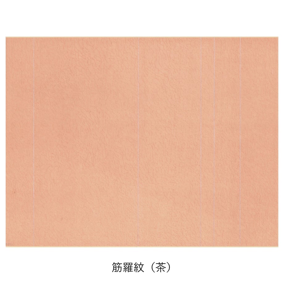 5c5401d1aee1bb1bc34180e2