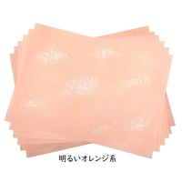 【色ばらつきあり】全懐紙　本鳥の子　豪華版　1枚売り