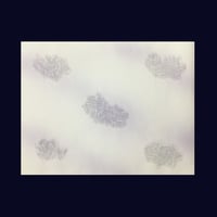 全懐紙　新鳥の子　ぼかし紋様　1枚売り