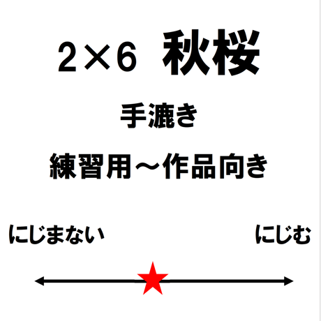 2尺×6尺　秋桜（白）