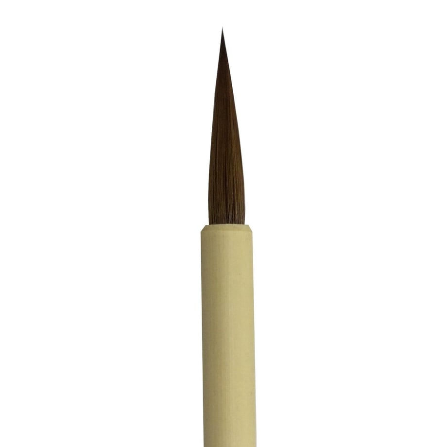 5dd632d3c5d0e51909538e2e