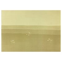 【限定】こきん製 全懐紙 本鳥の子 染刷毛紋様切箔砂子（02）