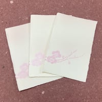 こきん特製　耳付き鳥の子はがき　梅（ピンクぼかし）　３枚入