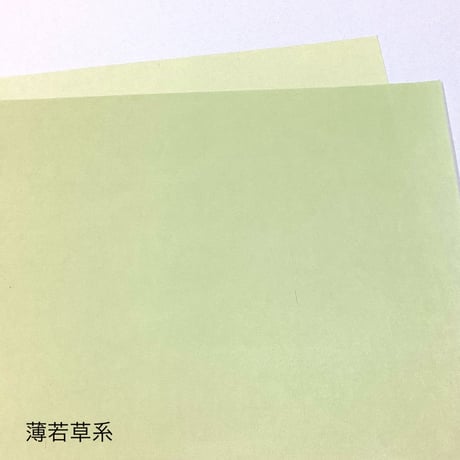 【色ばらつきあり】全懐紙　本鳥の子　染（緑系）1枚売り